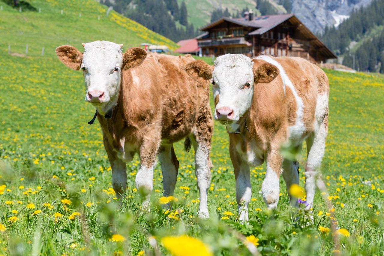 Hotel Des Alpes Adelboden Exterior foto
